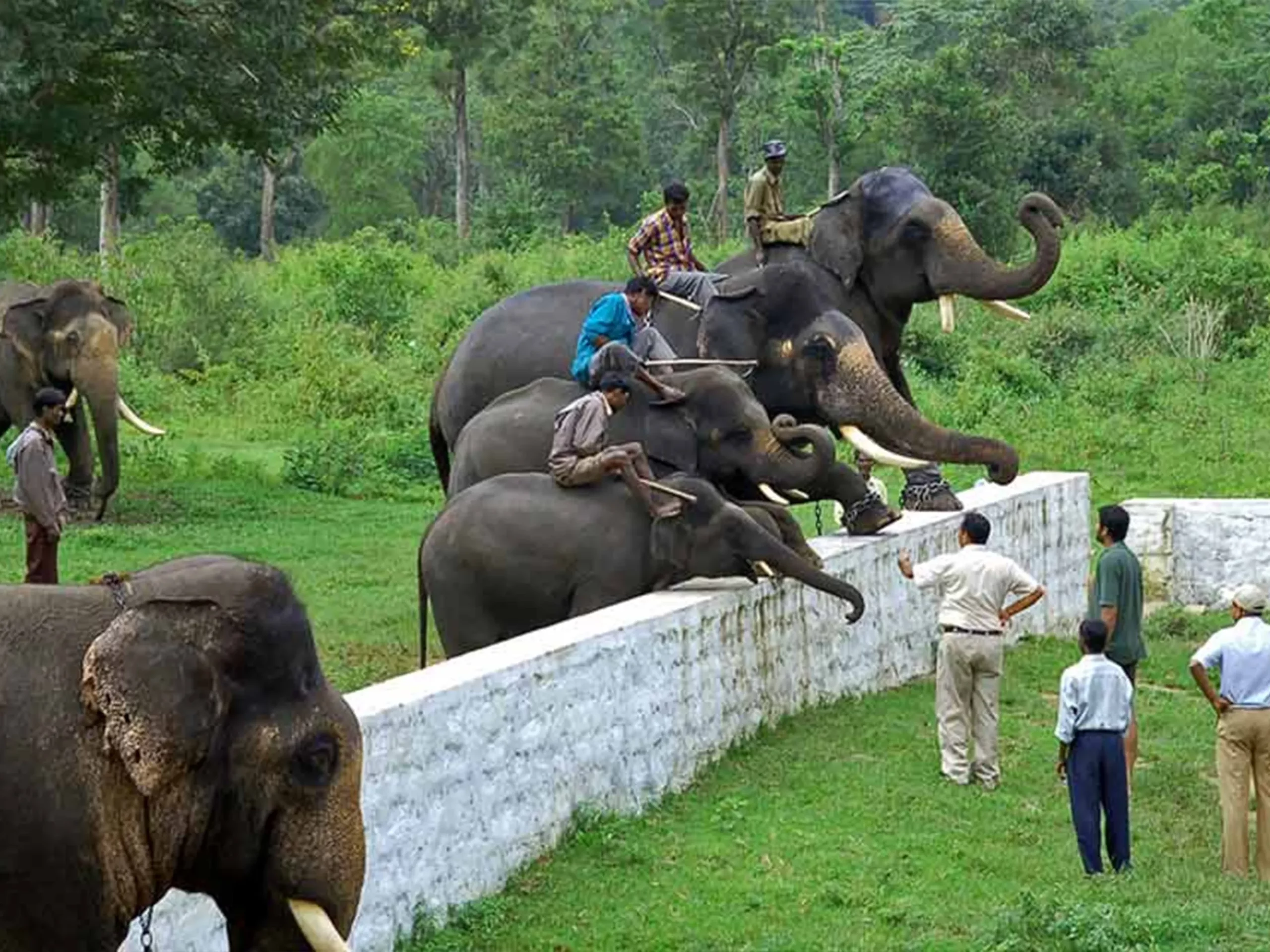 dubare elephant camp